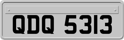 QDQ5313