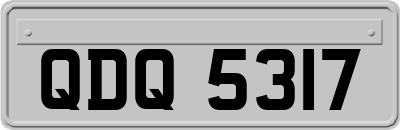 QDQ5317