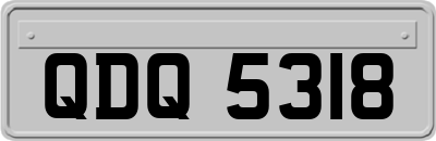 QDQ5318