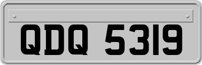 QDQ5319