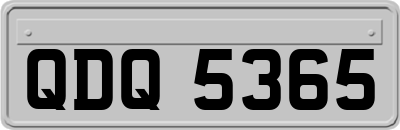 QDQ5365