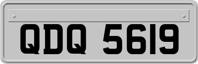 QDQ5619