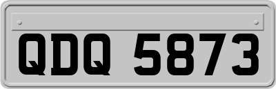 QDQ5873