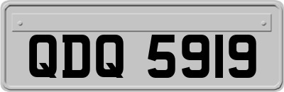 QDQ5919