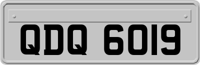 QDQ6019