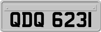 QDQ6231