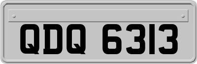 QDQ6313