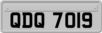 QDQ7019