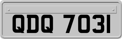 QDQ7031
