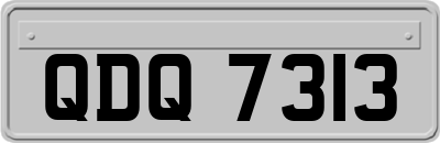QDQ7313