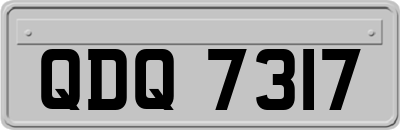 QDQ7317