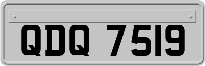 QDQ7519