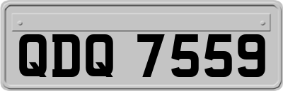 QDQ7559