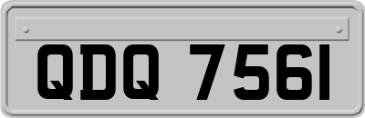 QDQ7561