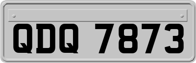 QDQ7873