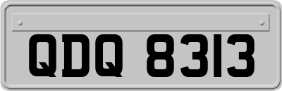 QDQ8313