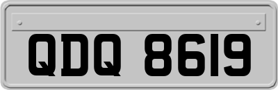 QDQ8619