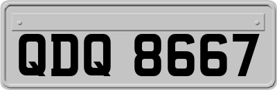 QDQ8667