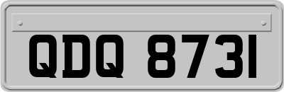QDQ8731