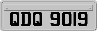 QDQ9019