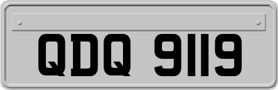 QDQ9119