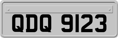 QDQ9123