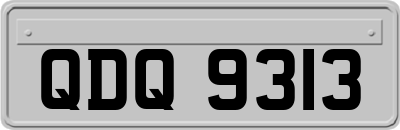 QDQ9313