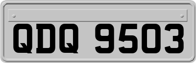 QDQ9503