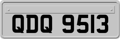 QDQ9513