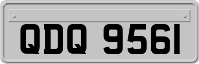 QDQ9561