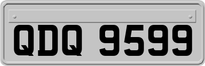 QDQ9599