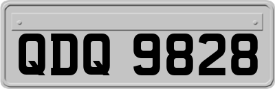 QDQ9828