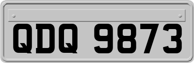 QDQ9873