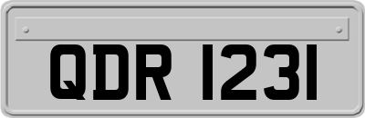 QDR1231