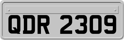 QDR2309