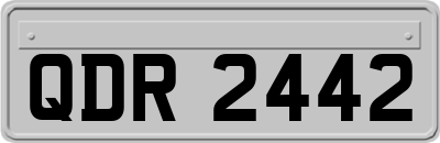 QDR2442