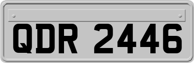 QDR2446