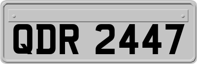 QDR2447