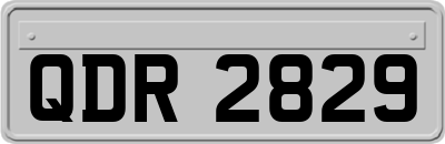 QDR2829