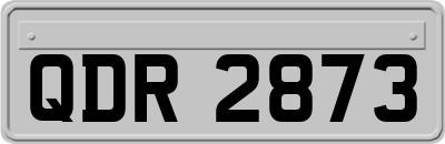 QDR2873
