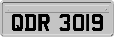 QDR3019
