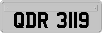 QDR3119