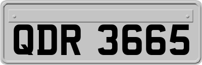 QDR3665