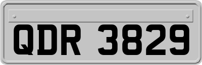 QDR3829