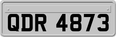 QDR4873