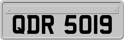 QDR5019