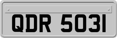 QDR5031