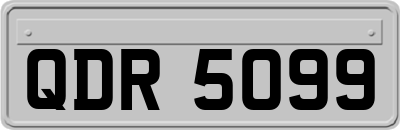 QDR5099