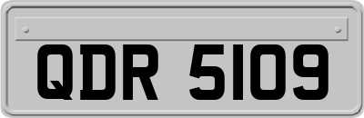 QDR5109