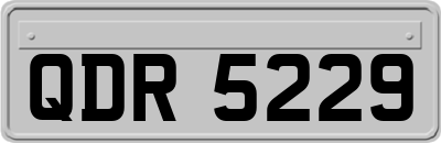 QDR5229